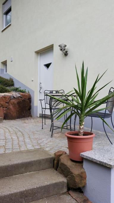 Ferienwohnung Talblick Im Schwarzwald Seelbach  Exteriér fotografie