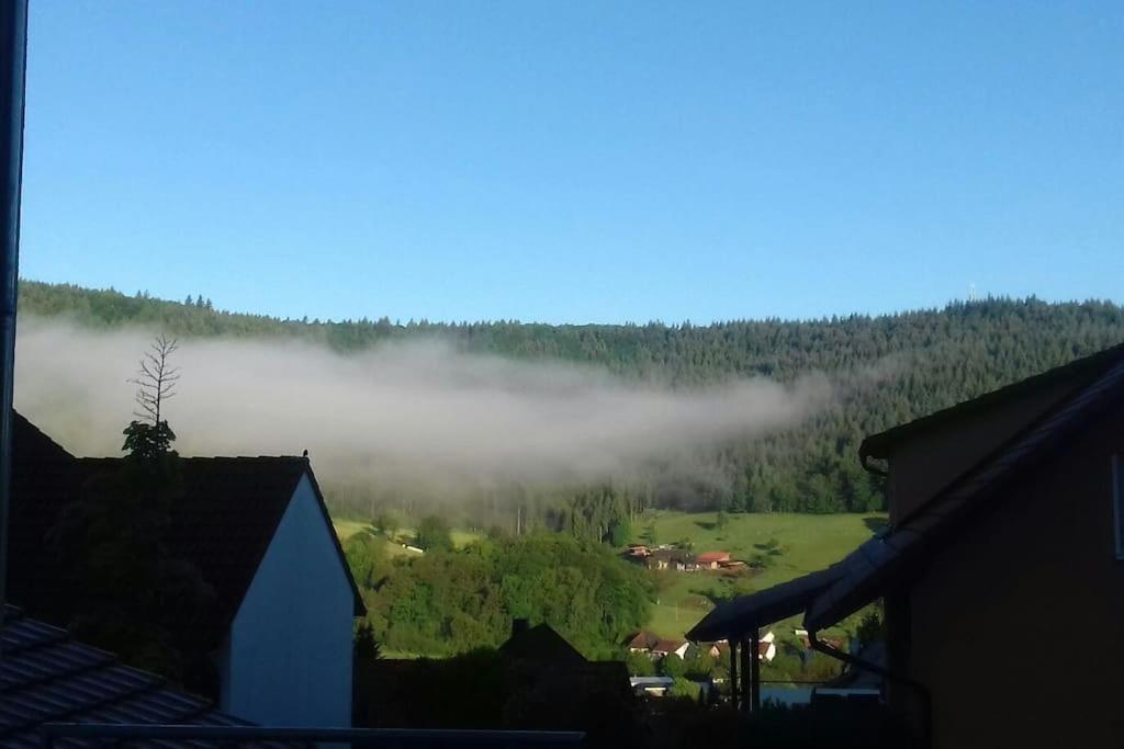 Ferienwohnung Talblick Im Schwarzwald Seelbach  Exteriér fotografie