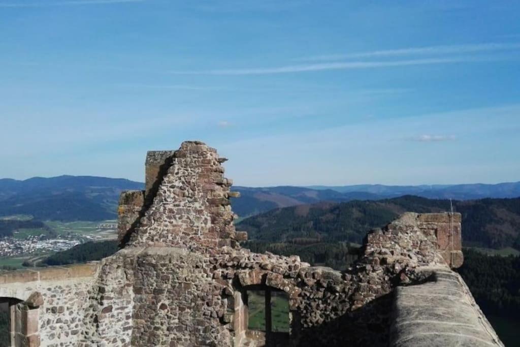 Ferienwohnung Talblick Im Schwarzwald Seelbach  Exteriér fotografie