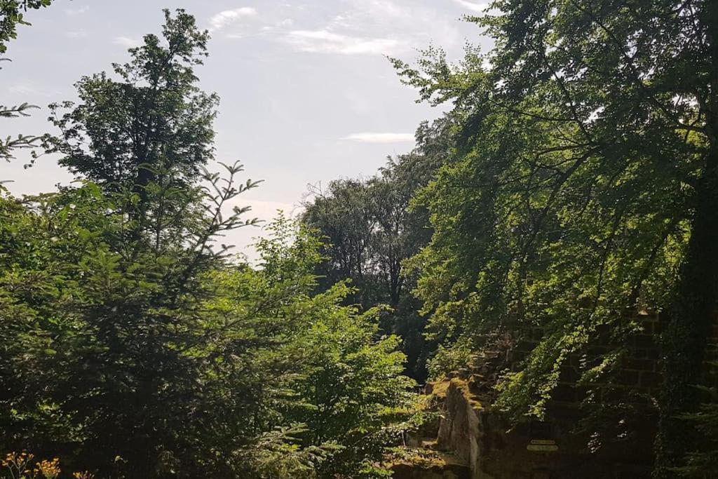 Ferienwohnung Talblick Im Schwarzwald Seelbach  Exteriér fotografie