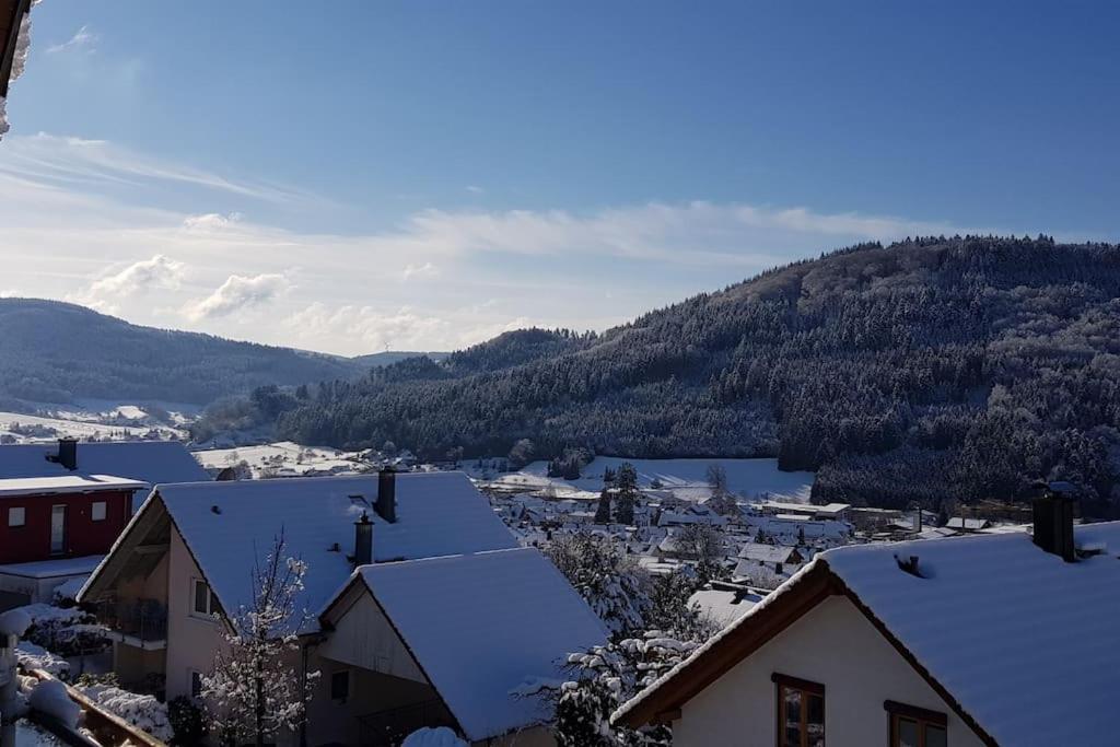 Ferienwohnung Talblick Im Schwarzwald Seelbach  Exteriér fotografie