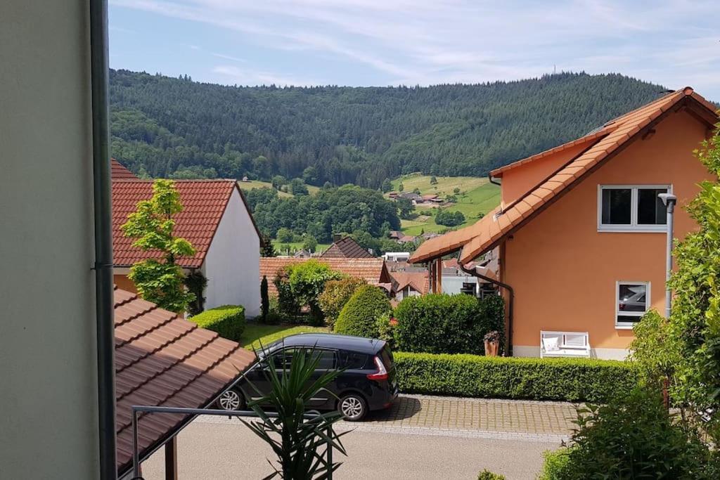 Ferienwohnung Talblick Im Schwarzwald Seelbach  Exteriér fotografie