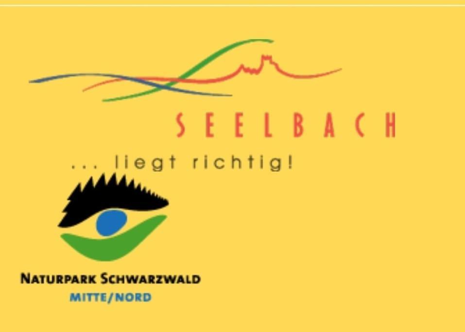 Ferienwohnung Talblick Im Schwarzwald Seelbach  Exteriér fotografie