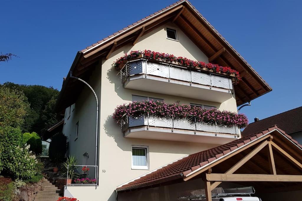 Ferienwohnung Talblick Im Schwarzwald Seelbach  Exteriér fotografie