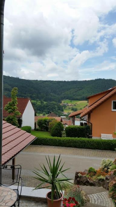 Ferienwohnung Talblick Im Schwarzwald Seelbach  Exteriér fotografie
