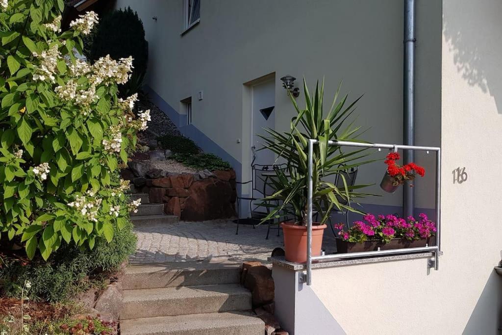 Ferienwohnung Talblick Im Schwarzwald Seelbach  Exteriér fotografie